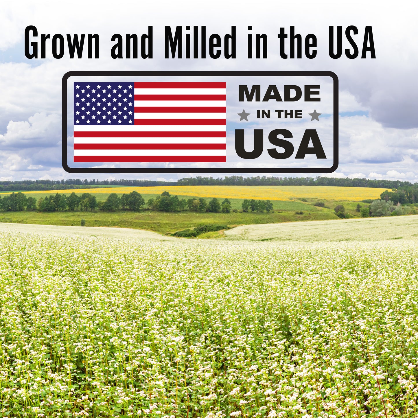 Buckwheat Flour | 5 LBS | Premium Quality Organic | Medium Dark | Fine Grind